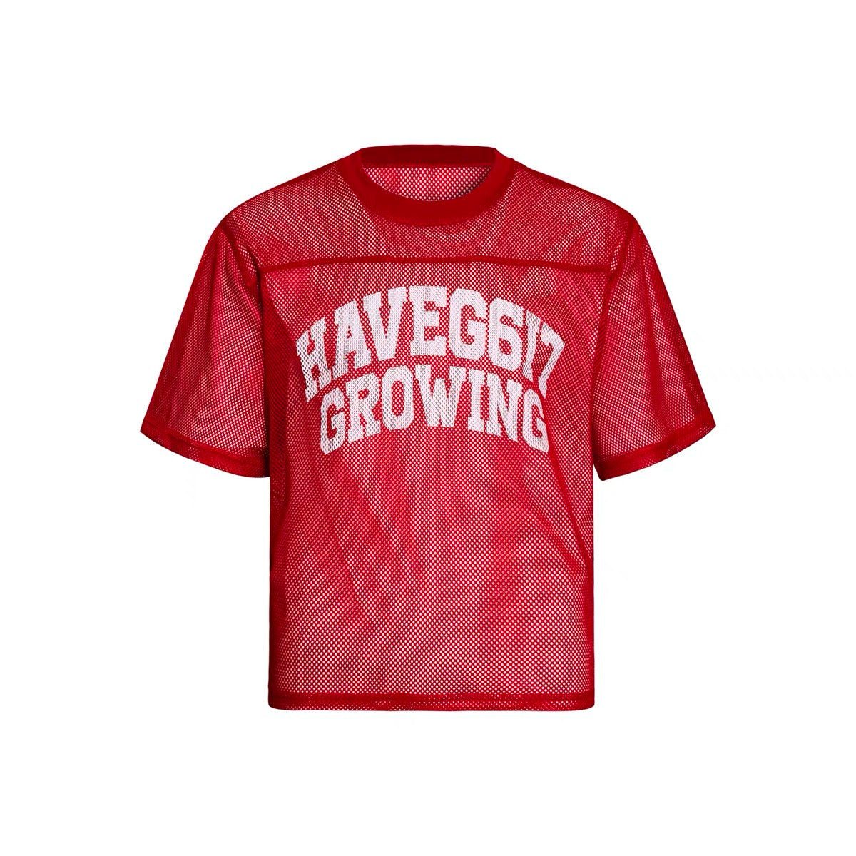 Mesh Hollow Letter Print Tee
